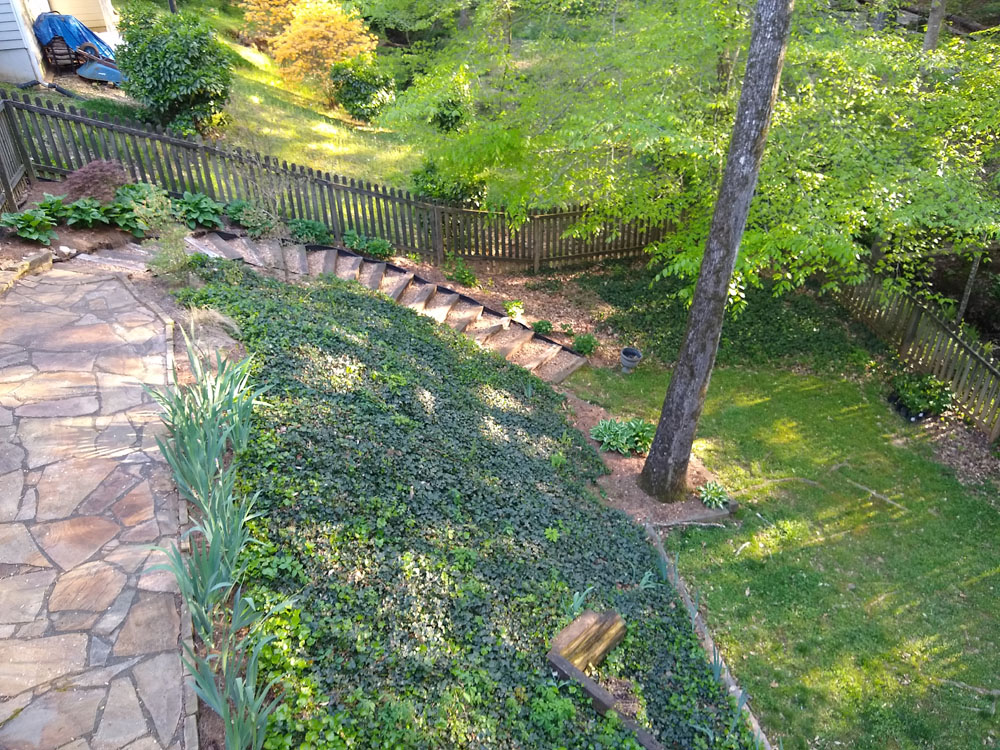 IMG_20210415_183514041