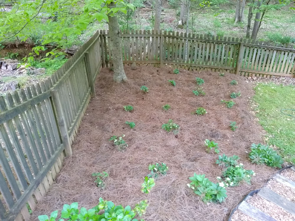 IMG_20210418_191148876