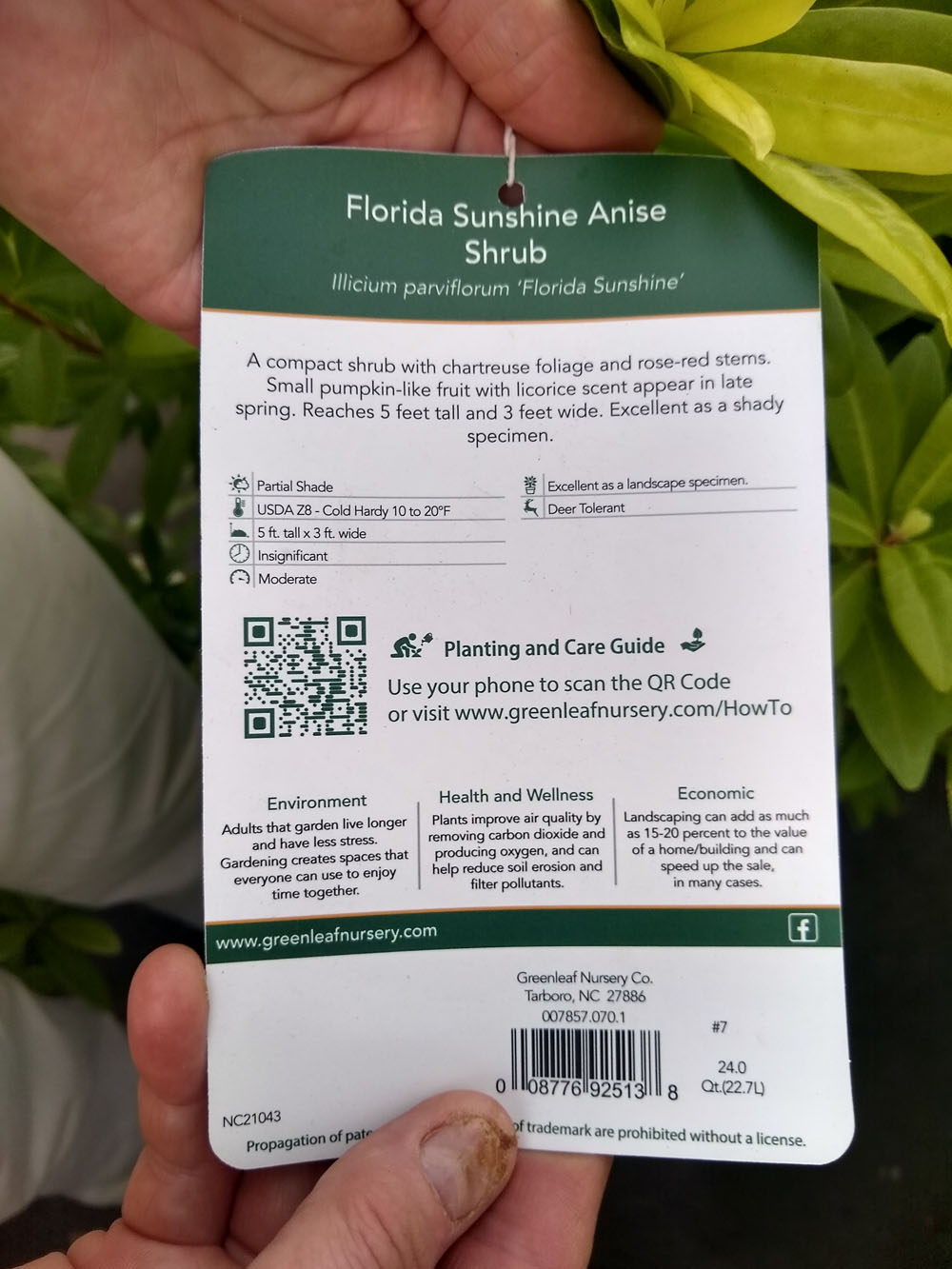 IMG_20221028_165552233_HDR